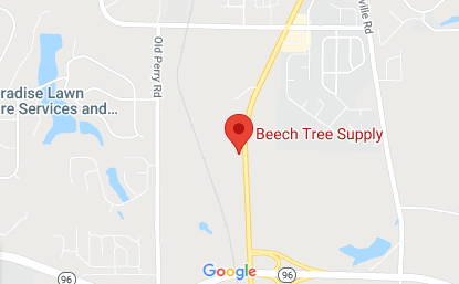 Beech Tree Bonaire