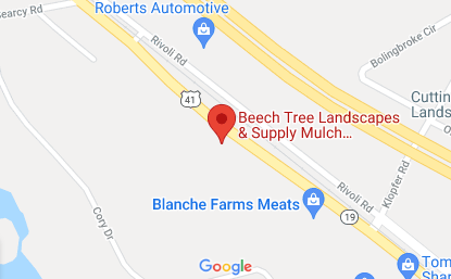 Beech Tree Macon